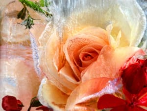 Blush