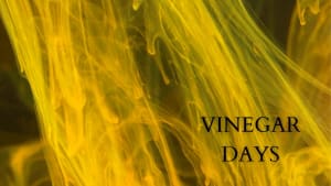 Vinegar Days