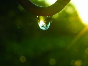 Gold on Green