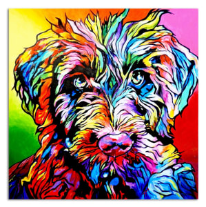 Grover