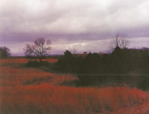 Greene County, TN