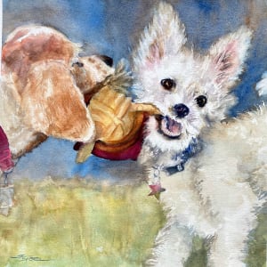 Playful Puppies