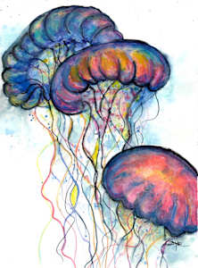 Jellyfish Trio