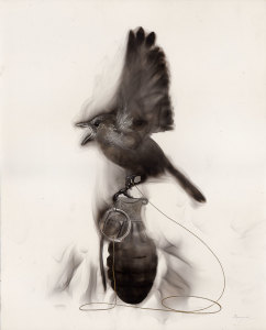 Bird on Grenade (attached to pin and taking off)