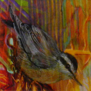 Upside-Down Bird Nuthatch