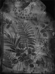 Wallpaper from childhood home in New Zealand 