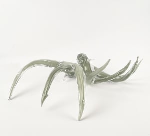 Antler Set Grey