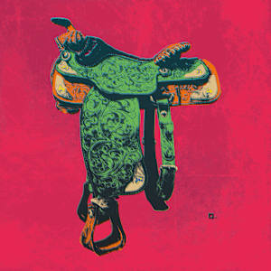 Warholy-O- Rodeo Series #4