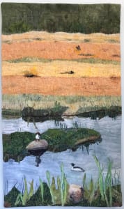 Life on the Marsh