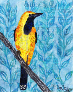 Backyard Birds: Mr. Hooded Oriole