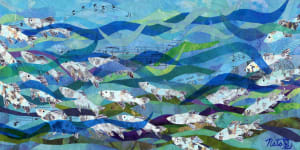 Schooling Around: Pacific Sardines