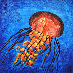 Pacific Sea Nettle