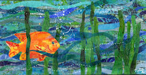 California Poppyfish