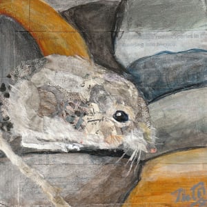Wild Neighbors: San Diego Pocket Mouse