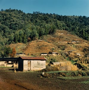 Farm (Himalayan Mountains, India)