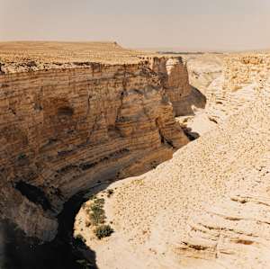 Winding Canyon in the Negev Desert (Ein Avdat, Israel)