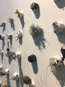 Water from Moss - Recycled Rain Project