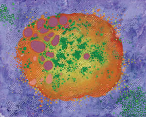 Cell No.26