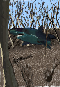 Forest Shark 18 x 24 only