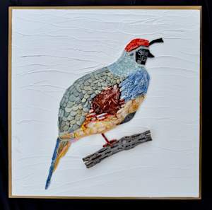 Gambel Quail