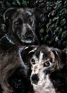 Rufus and Bogey
