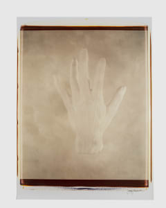 Untitled (from "Still Life")