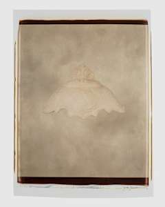 Untitled (from "Still Life")