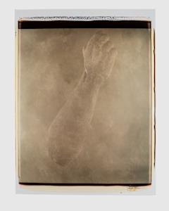 Untitled (from "Still Life")