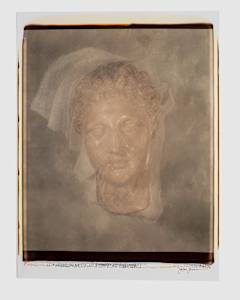 Untitled (from "Still Life")