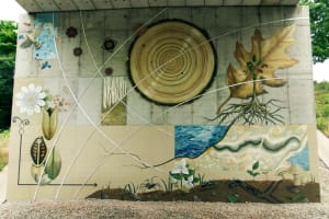 Arc of Nature