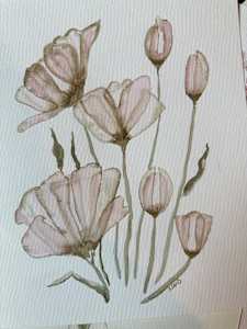 Hadlee Wildflower