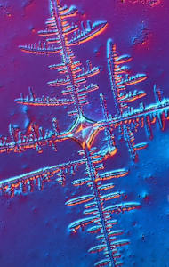 Macro 017