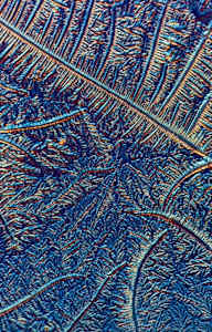 Macro 007