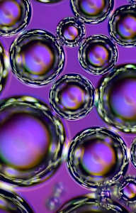 Macro 58