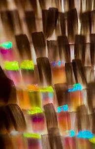 Macro 52