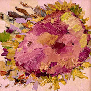 Pickings 5