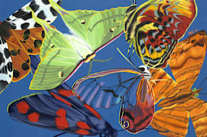Flutter - Art in Embassies Invitational (2016)
