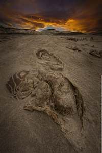 Sunset Nap, New Mexico Badlands
