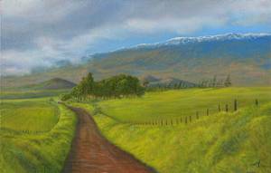 Hawaii - commissioned work