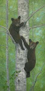 Cubs up a tree