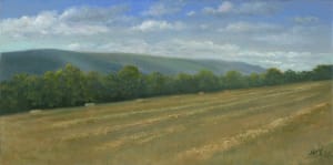 Making Hay while the Sun Shines