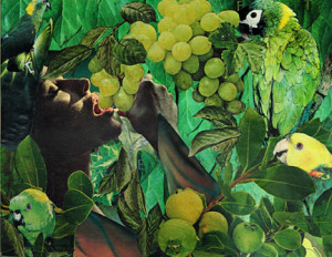 Fruit of the Vine