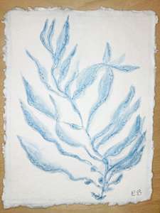 Blue Sea Kelp No. 1