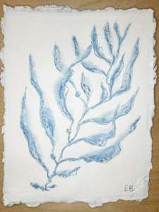 Blue Sea Kelp No. 2