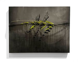 Canary (Still) in the Coal Mine