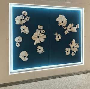 Teal Pencil Shavings