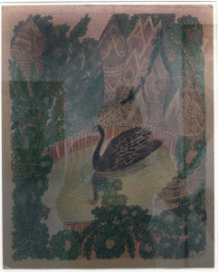 Swan