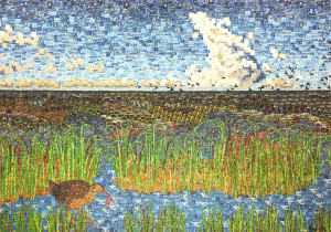 Ridgeway's Rail