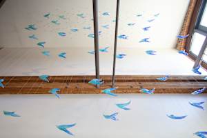 Where Will Your Wings Take You?