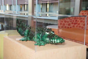Crocodile